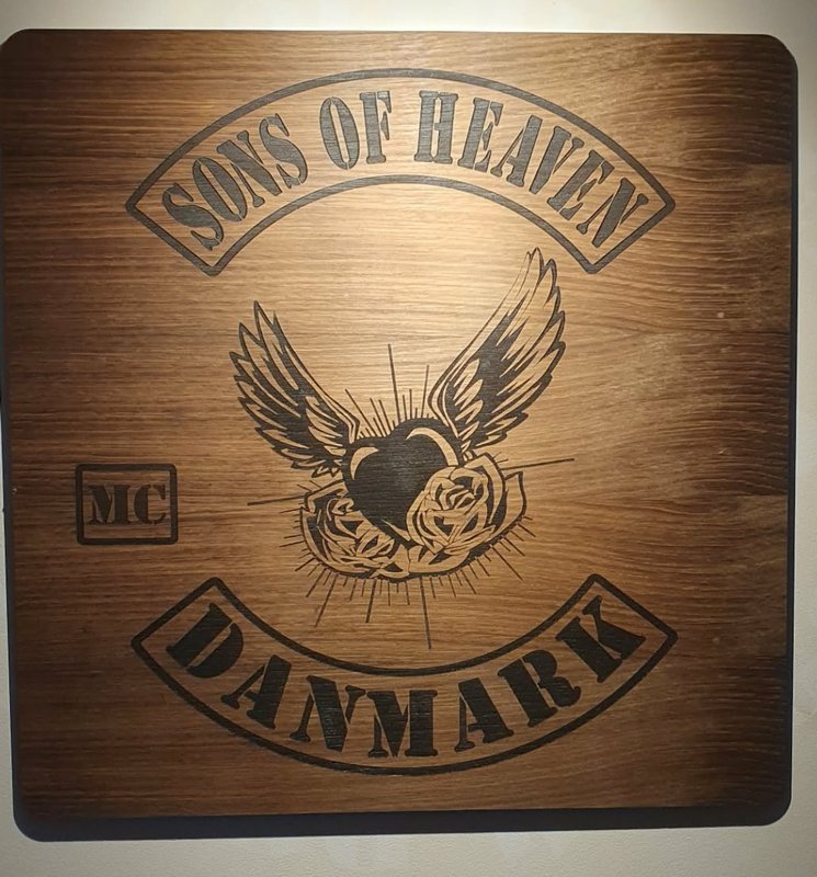 Sons of heaven
