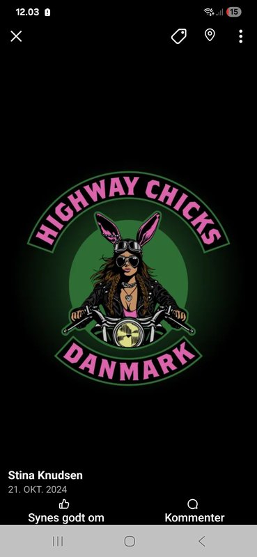 Highway Chicks